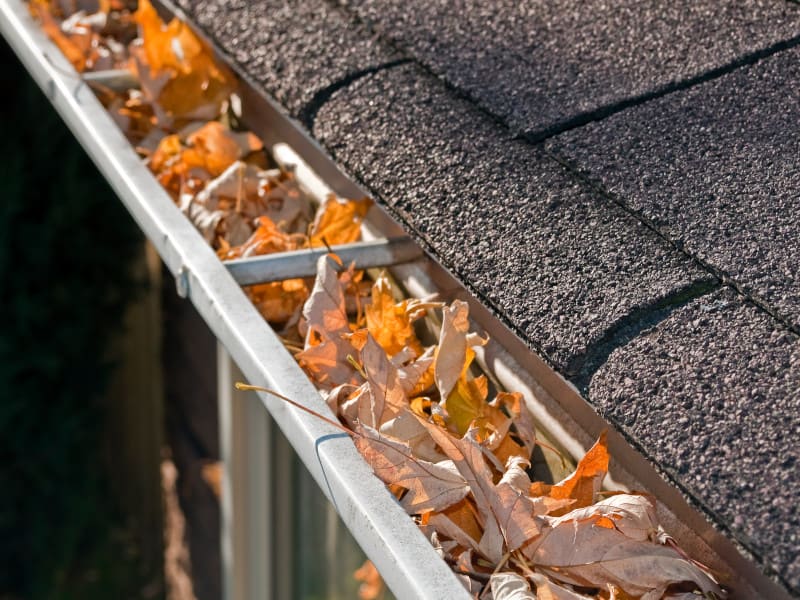 Gutter Cleaning Section