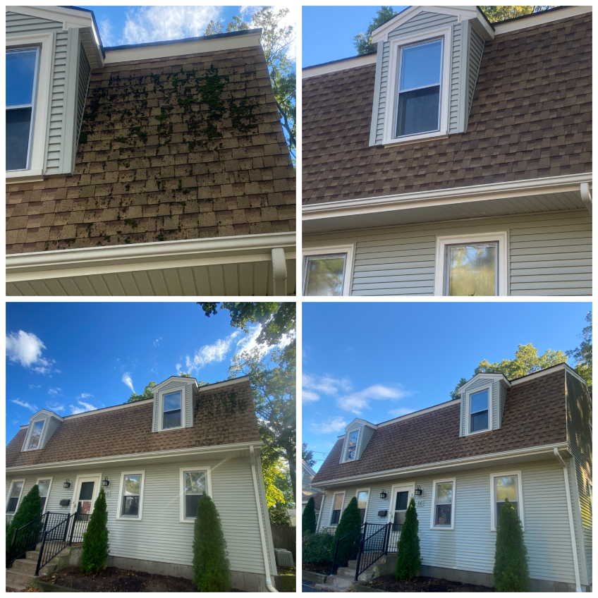 Roof washing