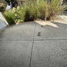 Black-Mold-Green-Algae-Driveway-Clean-Up-in-Providence-RI 7