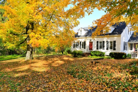 Leaf removal